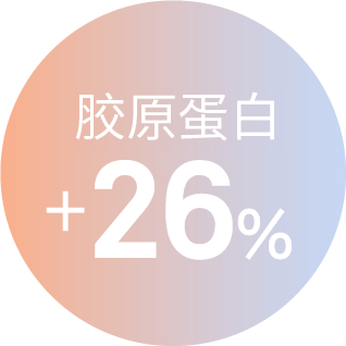 胶原蛋白 +26%