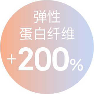 弹性蛋白纤维 +200%