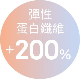 彈性蛋白纖維 +200%